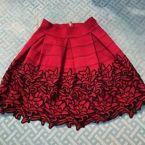 Francesca’s Skirt